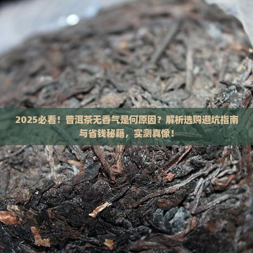 普普洱茶无香气