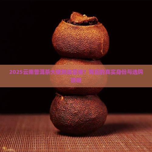 最新云南普洱茶大使