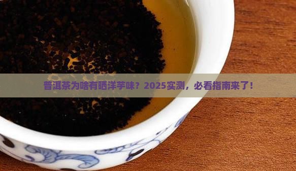 普洱茶有晒洋芋味