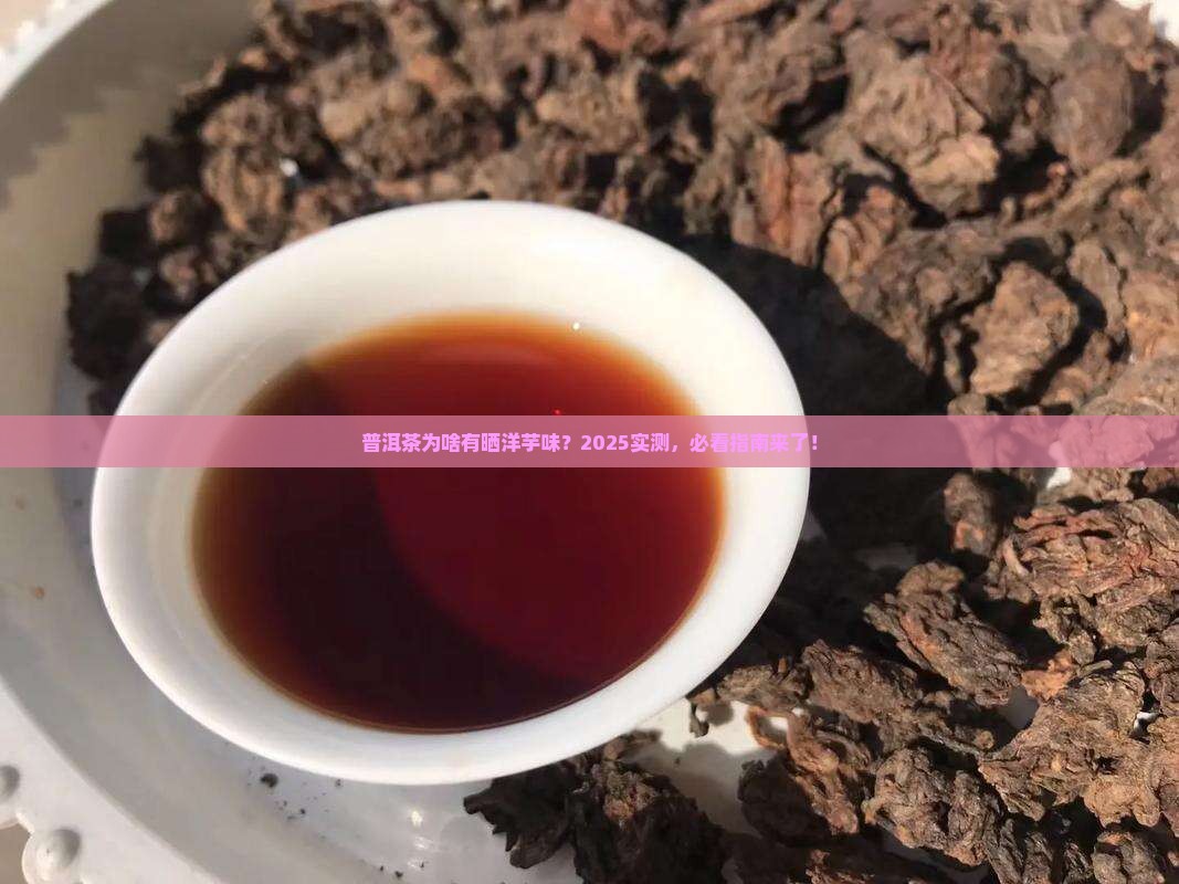 普洱茶有晒洋芋味