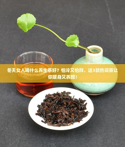 冬天女人喝什么养生茶好