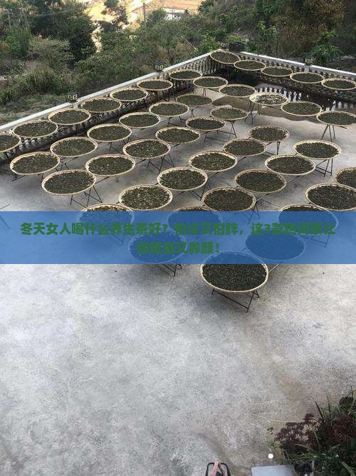 冬天女人喝什么养生茶好
