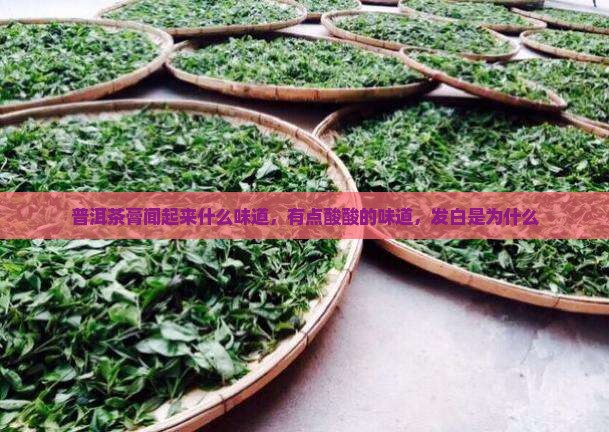 普洱茶膏闻起来