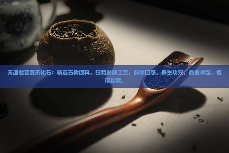 天道君普洱茶化石