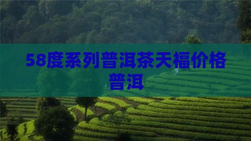 58度系列普洱茶
