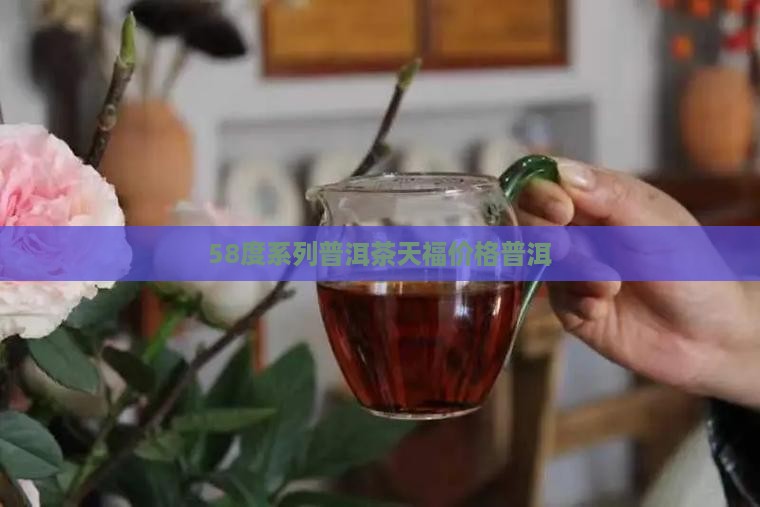 58度系列普洱茶