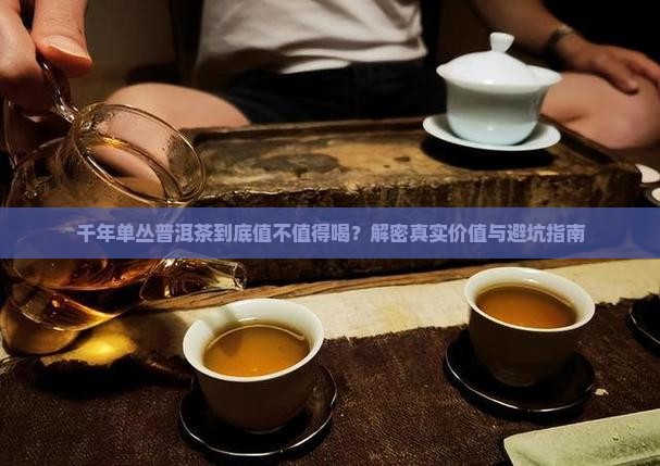 千年单从普洱茶