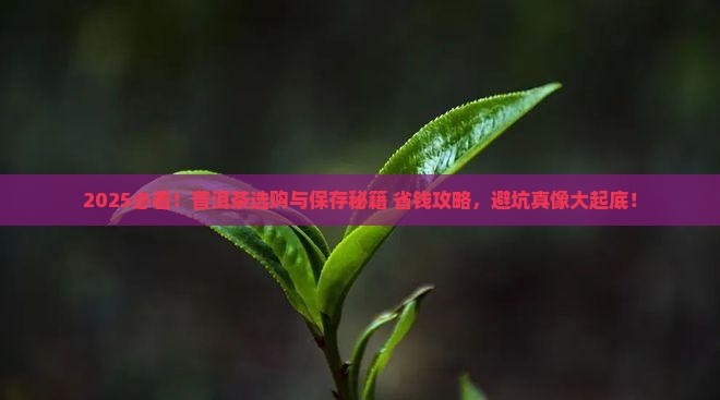 普洱茶的选购与保存