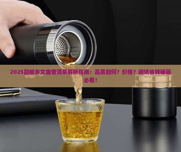 勐板乡文曲普洱茶
