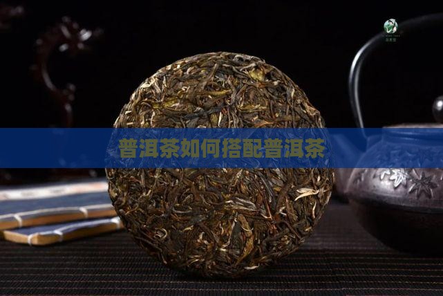 普洱茶如何搭配