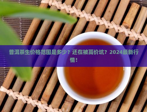 普洱茶生价格范围