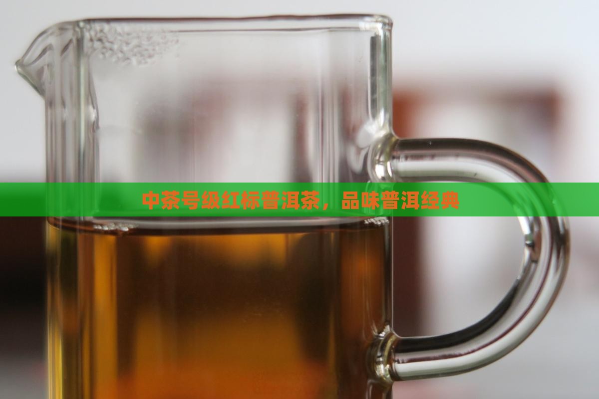 中茶普洱茶号级红标