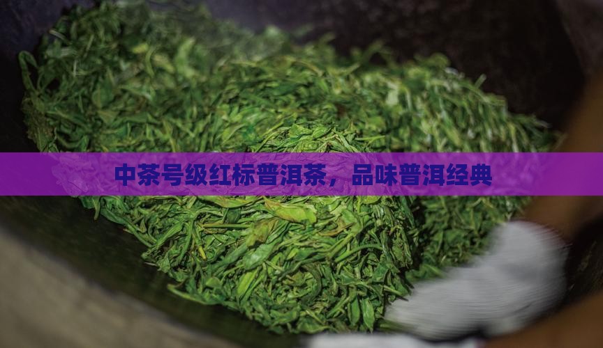 中茶普洱茶号级红标