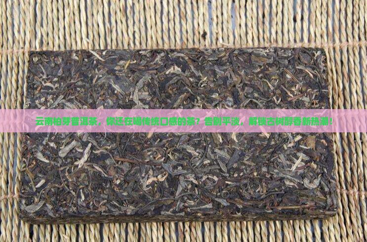 云南柏芽普洱茶
