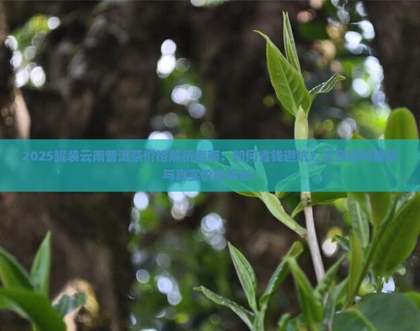 罐装云南普洱茶价格