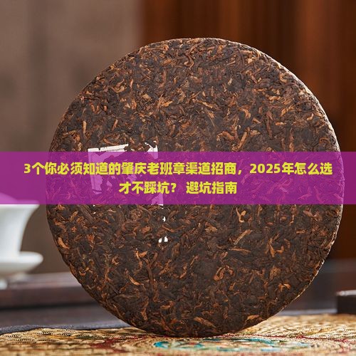 肇庆老班章渠道招商
