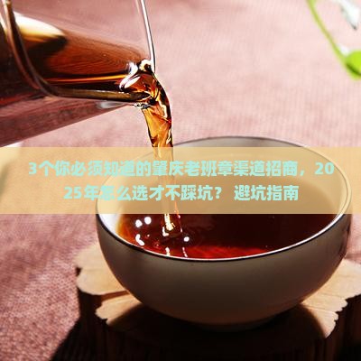 肇庆老班章渠道招商