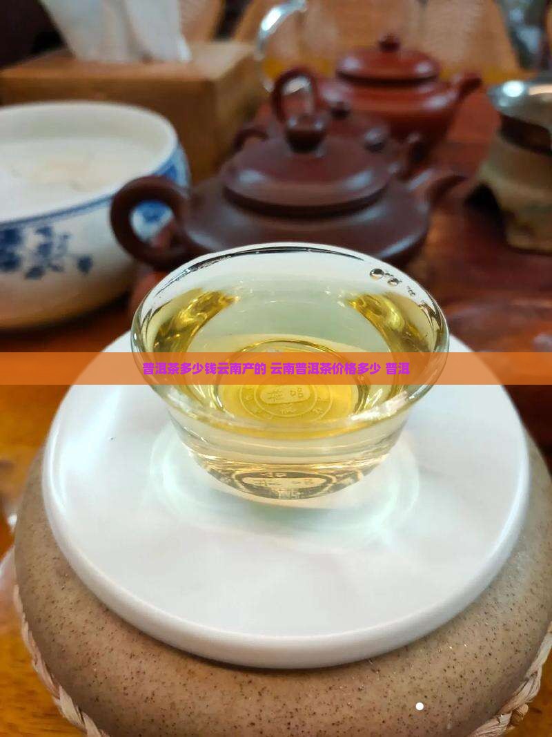 普洱茶多少钱云南产的最好