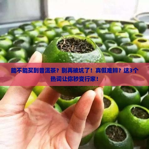 能不能买到普洱茶