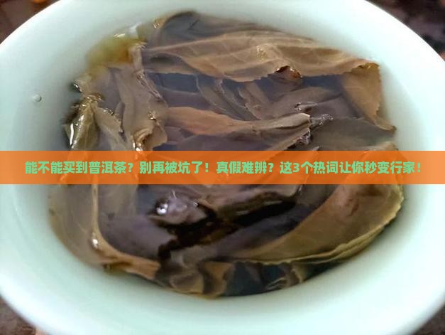 能不能买到普洱茶