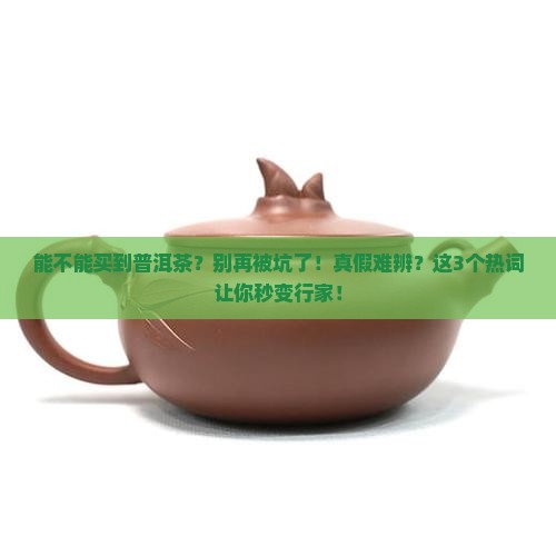 能不能买到普洱茶