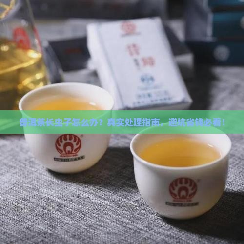 普洱茶长虫子如何处理