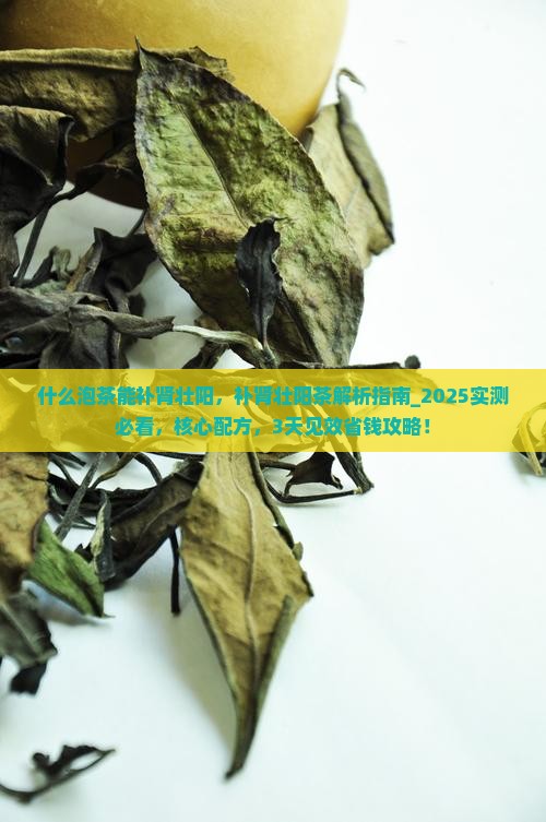 什么泡茶能补肾壮阳