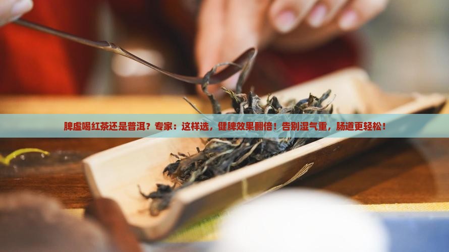 脾虚喝红茶还是普洱
