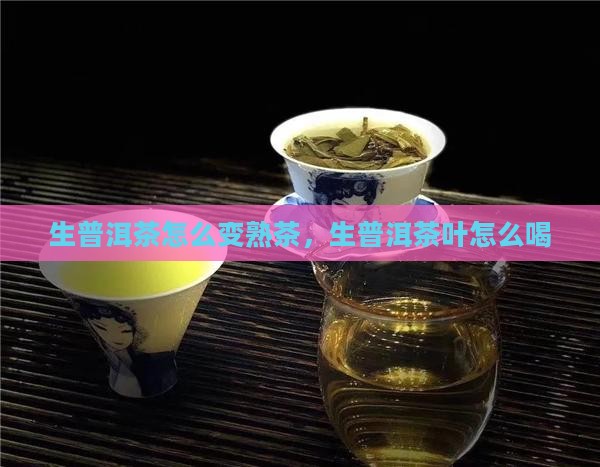 生普洱茶怎么变熟茶