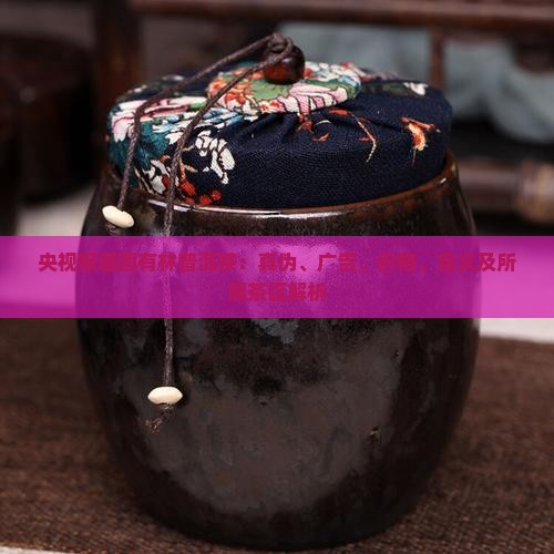 央视报道国有林普洱茶