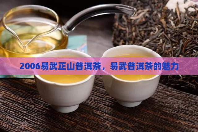 2006易武正山普洱茶