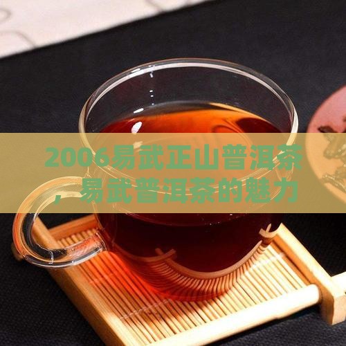 2006易武正山普洱茶
