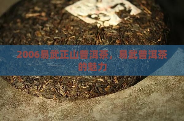 2006易武正山普洱茶