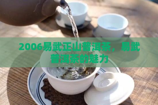 2006易武正山普洱茶