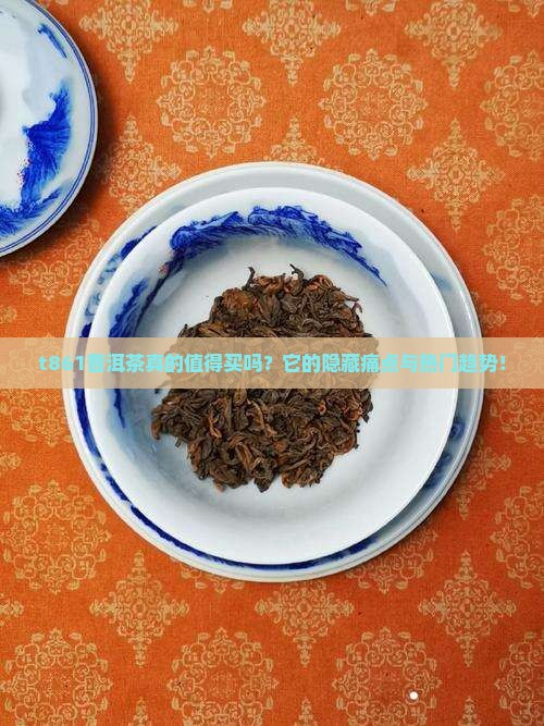 t861普洱茶
