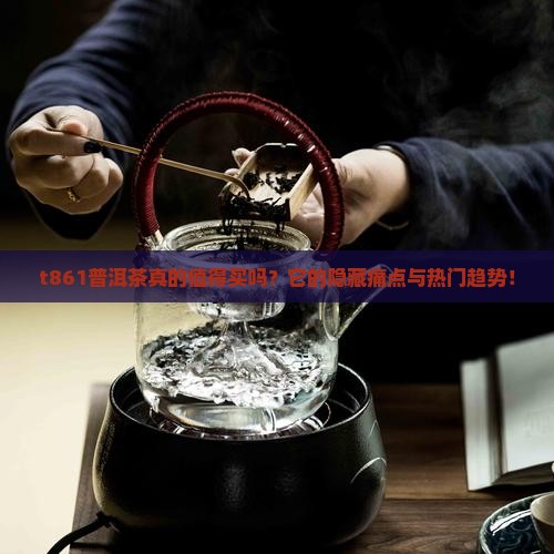 t861普洱茶