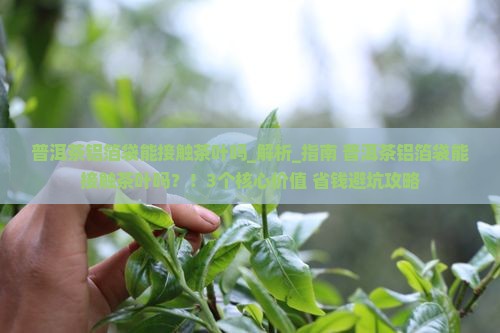 普洱茶铝箔袋能接触茶叶吗