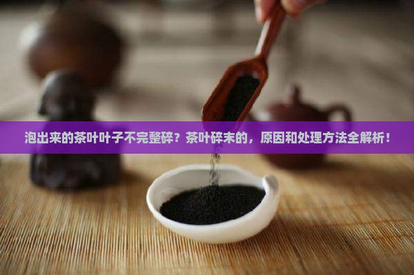 泡出来的茶叶叶子不完整碎
