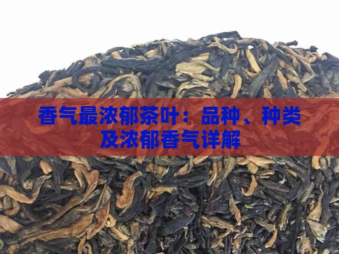 香气最浓郁茶叶