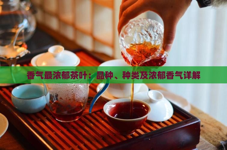 香气最浓郁茶叶