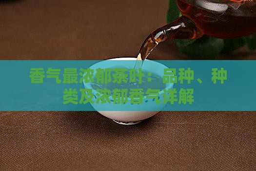香气最浓郁茶叶