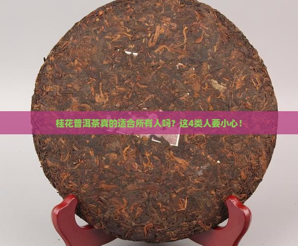 桂花普洱茶不适宜人群