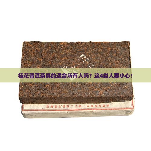 桂花普洱茶不适宜人群
