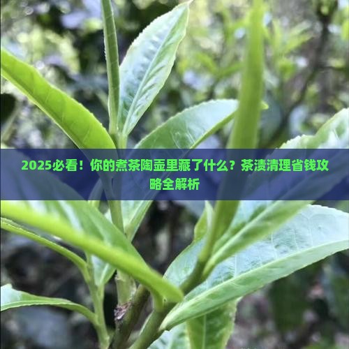 煮茶的陶壶里有茶渍