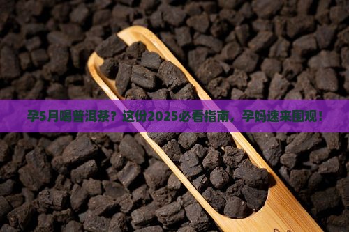 孕5月能喝普洱茶吗