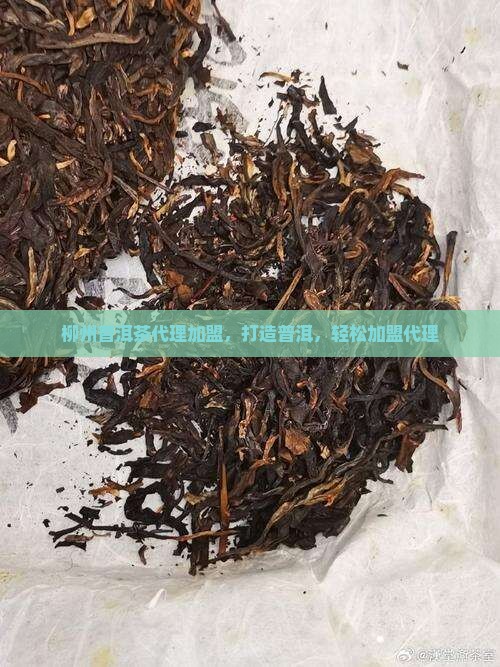 柳州普洱茶代理加盟