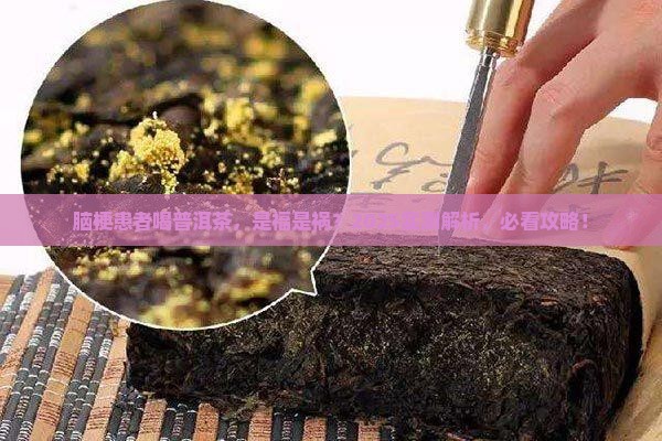 轻微脑梗可以喝普洱茶吗