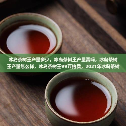 冰岛茶树王产量