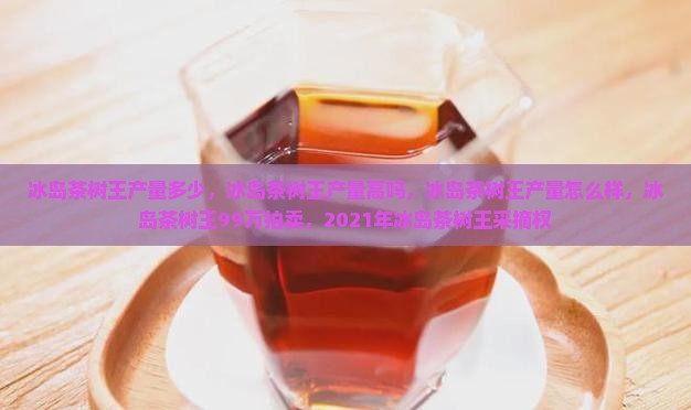冰岛茶树王产量
