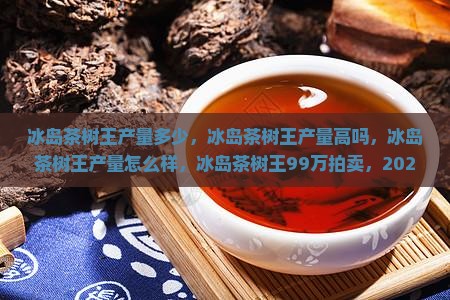 冰岛茶树王产量